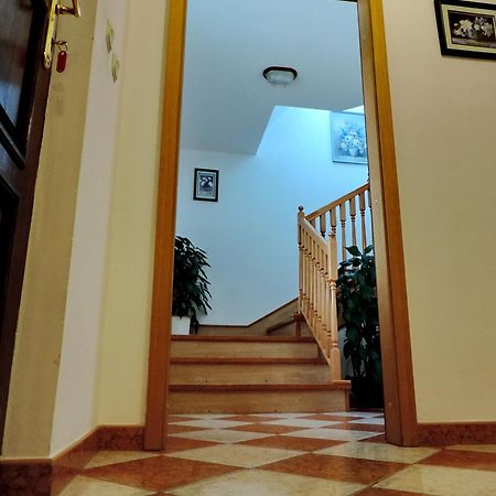 Apartment Peric ザダル エクステリア 写真